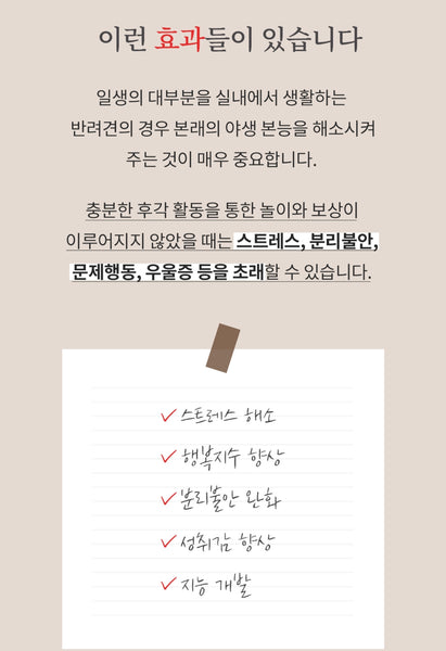 킁킁베어 노즈워크