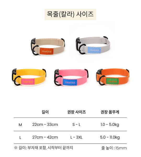 컬러팝 목줄