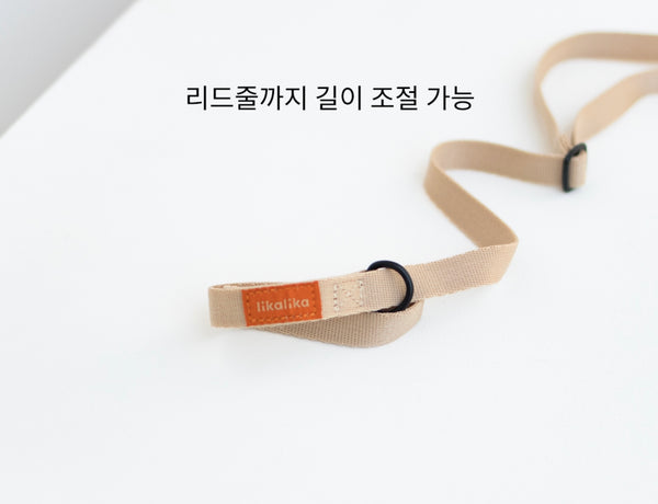 컬러팝 리드줄