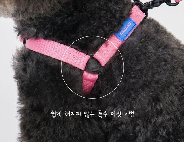 컬러팝 가슴줄 (하네스)