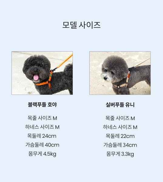 컬러팝 목줄