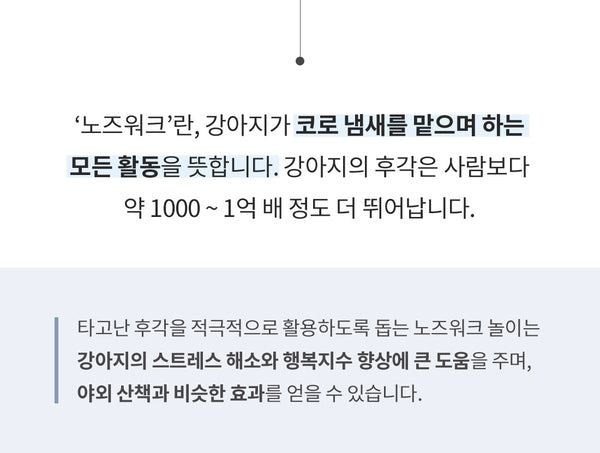 삼각김밥 노즈워크