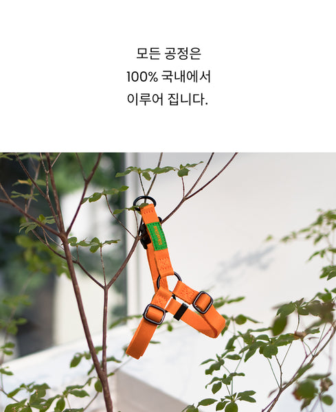 컬러팝 가슴줄 (하네스)