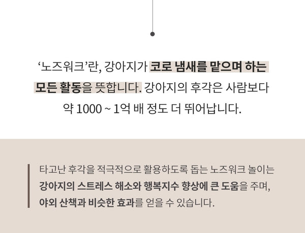 킁킁베어 노즈워크