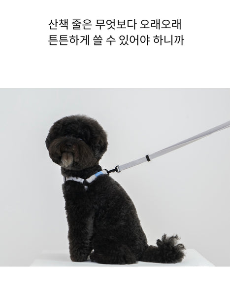 컬러팝 리드줄