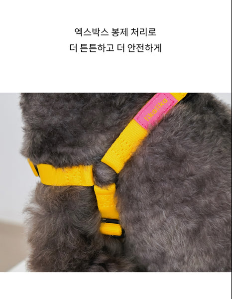 컬러팝 가슴줄 (하네스)