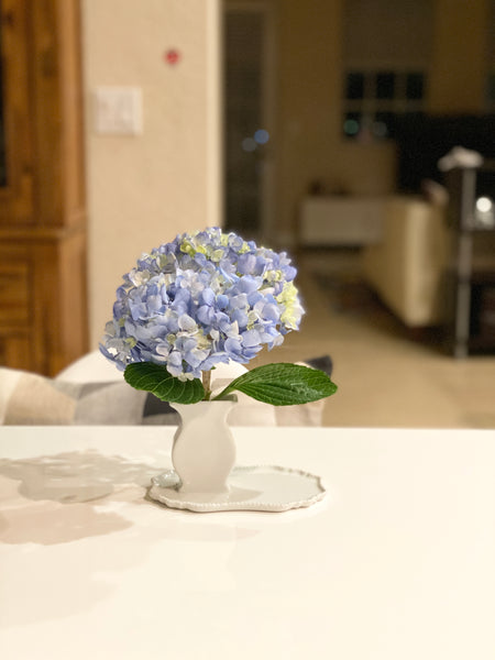 Taste Vase 16